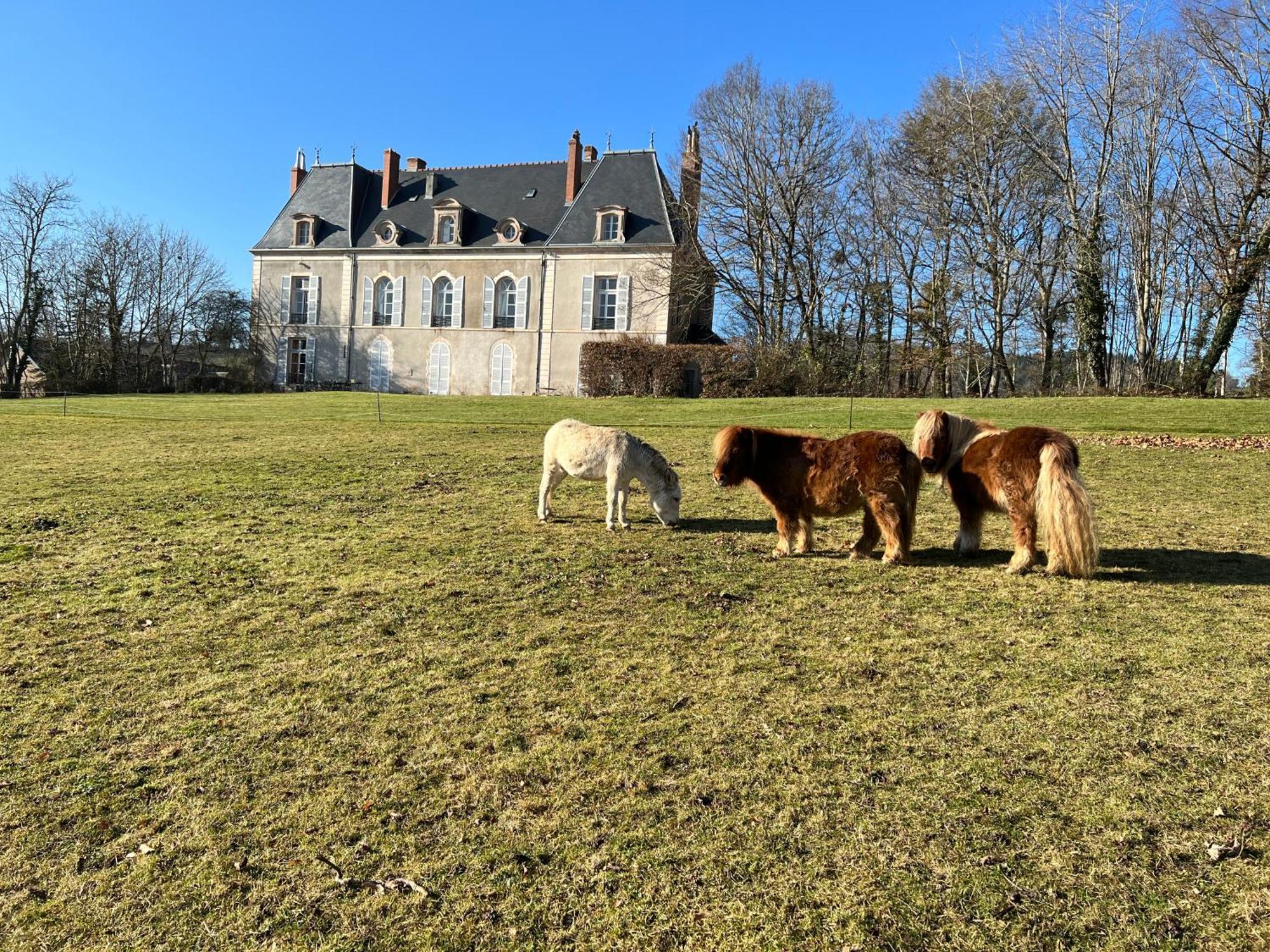Chateau De Vaux Morvan Etang-sur-Arroux Exterior foto